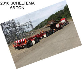 2018 SCHELTEMA 65 TON