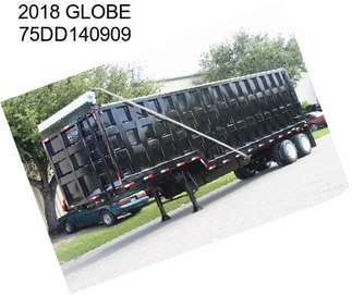 2018 GLOBE 75DD140909