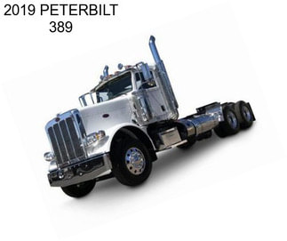 2019 PETERBILT 389