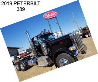 2019 PETERBILT 389