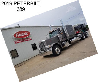 2019 PETERBILT 389