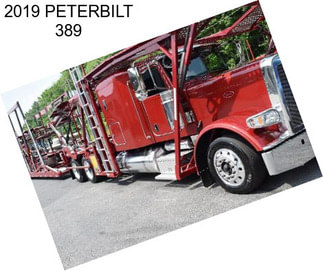 2019 PETERBILT 389