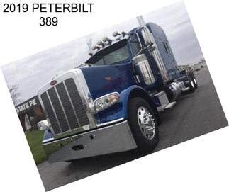 2019 PETERBILT 389