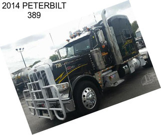 2014 PETERBILT 389