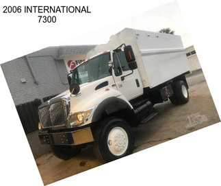 2006 INTERNATIONAL 7300