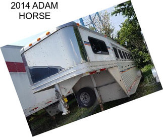 2014 ADAM HORSE