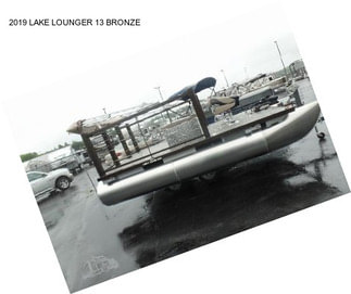 2019 LAKE LOUNGER 13 BRONZE