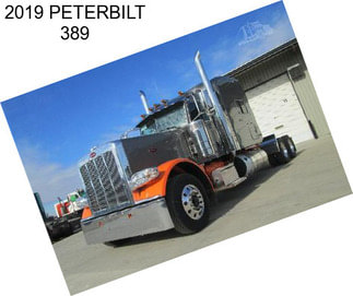 2019 PETERBILT 389