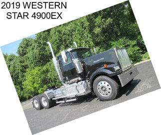 2019 WESTERN STAR 4900EX