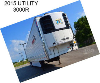 2015 UTILITY 3000R