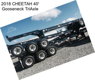 2018 CHEETAH 40\' Gooseneck TriAxle