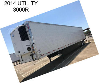 2014 UTILITY 3000R