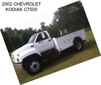 2002 CHEVROLET KODIAK C7500