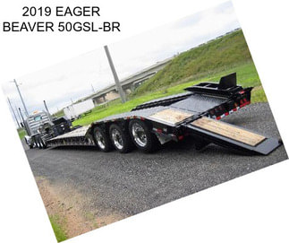 2019 EAGER BEAVER 50GSL-BR