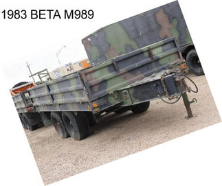 1983 BETA M989