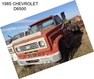 1985 CHEVROLET D6500