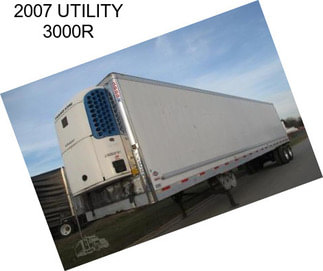 2007 UTILITY 3000R