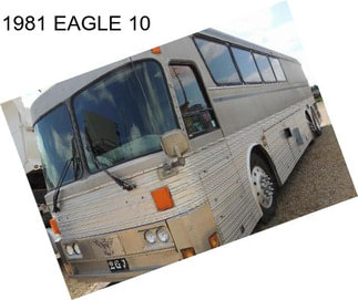 1981 EAGLE 10