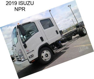 2019 ISUZU NPR