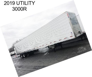 2019 UTILITY 3000R