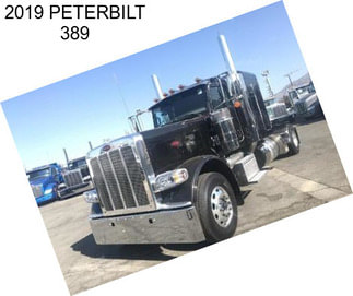 2019 PETERBILT 389