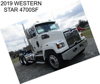 2019 WESTERN STAR 4700SF