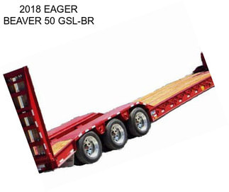 2018 EAGER BEAVER 50 GSL-BR