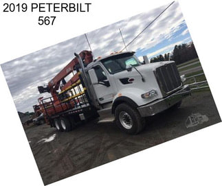 2019 PETERBILT 567