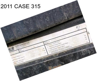 2011 CASE 315