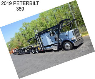 2019 PETERBILT 389