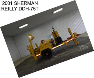 2001 SHERMAN REILLY DDH-75T