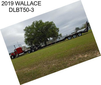 2019 WALLACE DLBT50-3