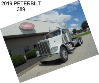 2019 PETERBILT 389