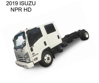 2019 ISUZU NPR HD