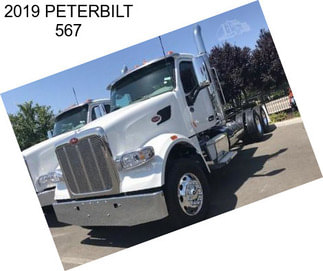 2019 PETERBILT 567