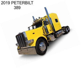 2019 PETERBILT 389