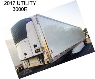 2017 UTILITY 3000R