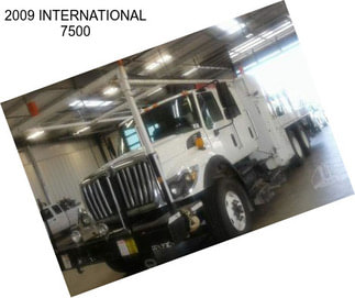 2009 INTERNATIONAL 7500