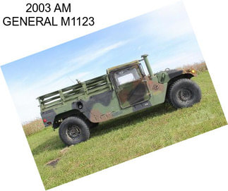 2003 AM GENERAL M1123