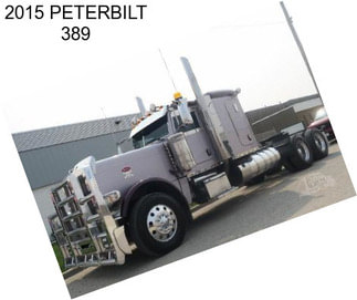 2015 PETERBILT 389