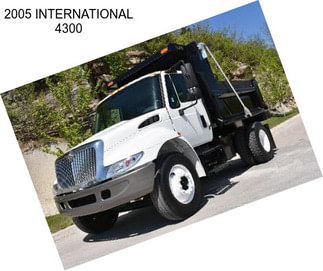 2005 INTERNATIONAL 4300