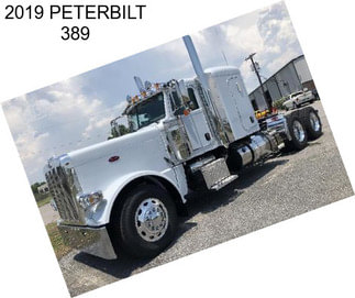 2019 PETERBILT 389