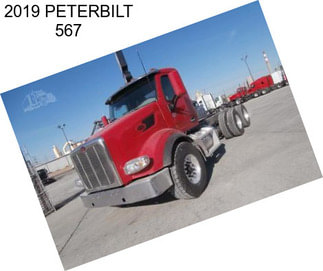 2019 PETERBILT 567