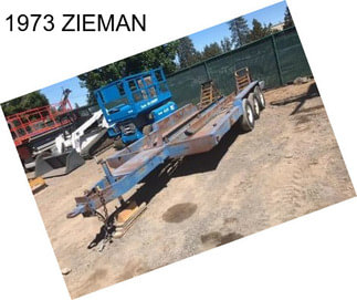 1973 ZIEMAN