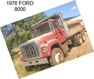 1976 FORD 8000