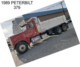 1989 PETERBILT 379