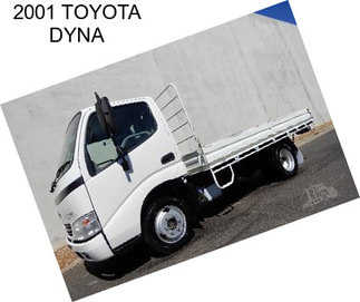 2001 TOYOTA DYNA