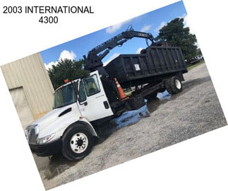 2003 INTERNATIONAL 4300