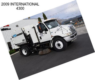 2009 INTERNATIONAL 4300