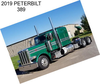 2019 PETERBILT 389